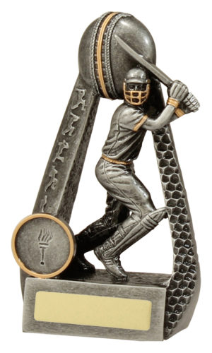 Portal-Cricket Batsman