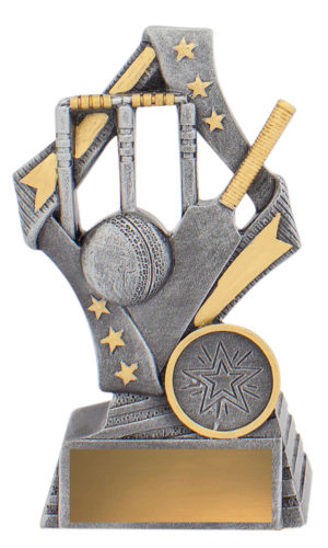 Flag Theme - Cricket