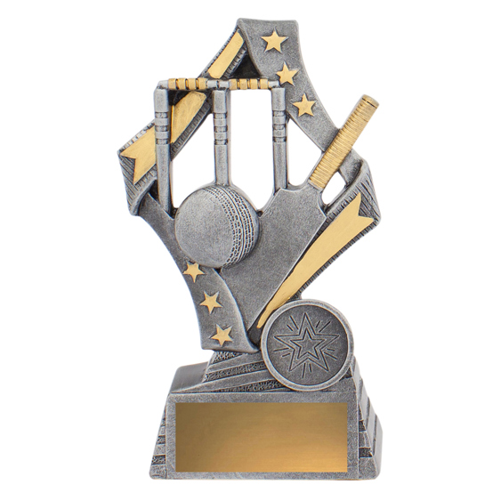 Flag Theme - Cricket