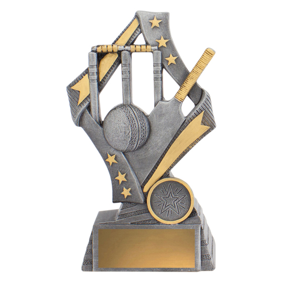 Flag Theme - Cricket