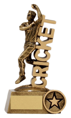 Word' Bowler - Cricket