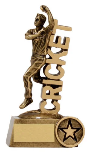 Word' Bowler - Cricket