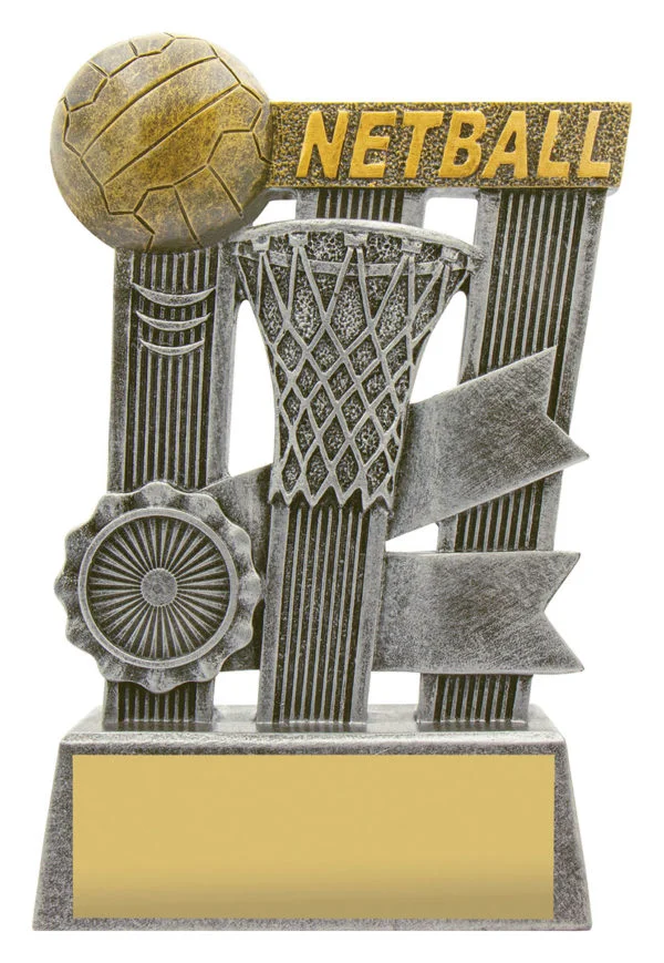 Silver Ribbon-Netball