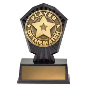 Super Mini Player of the Match