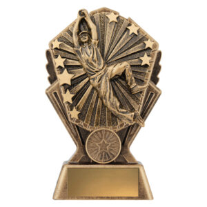 Cosmos Cricket - Male Fielding