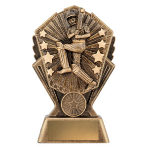 Cosmos Cricket - Male Batting