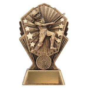 Cosmos Cricket - Female Batting