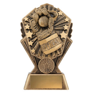 Cosmos Cricket - Wicketkeeper