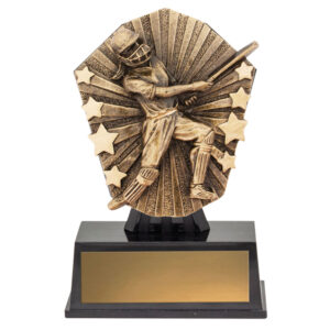 Cosmos Super Mini Cricket - Female Batting