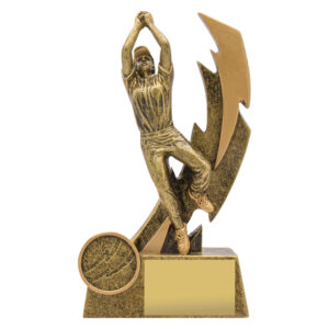 Cricket Shazam Female Fielder