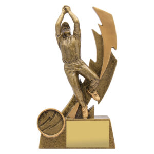 Cricket Shazam Fielder