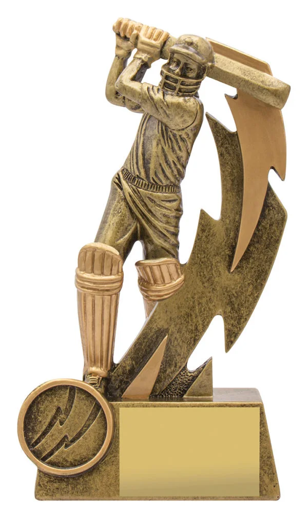 Cricket Shazam Batsman
