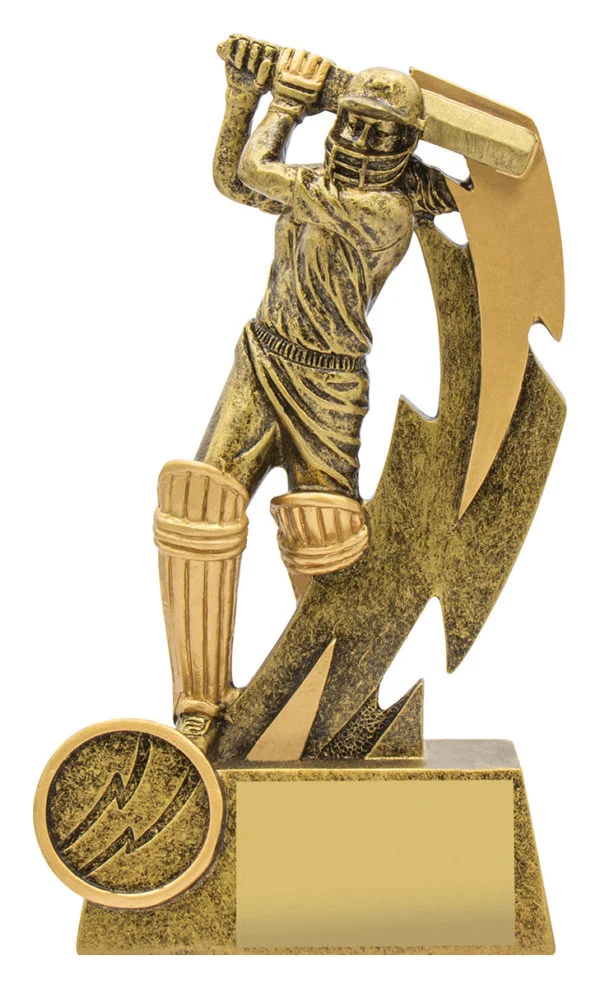 Cricket Shazam Female Batting