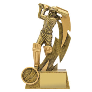 Cricket Shazam Female Batting