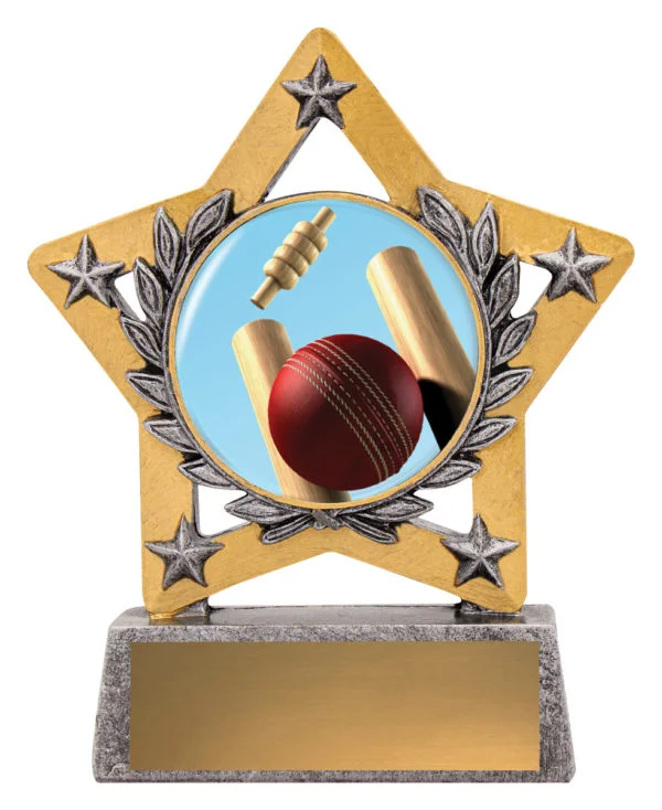 Mini Star-Cricket