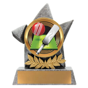 Argo Cricket Trophy