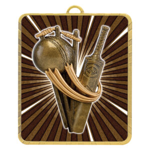 Lynx Cricket Theme Medal