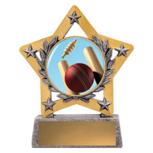Mini Star-Cricket