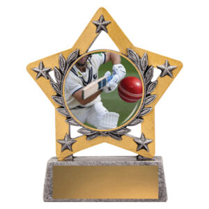 Mini Star Cricket Batting Colour