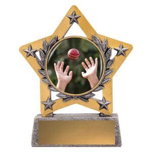 Mini Star Cricket Fielding Colour